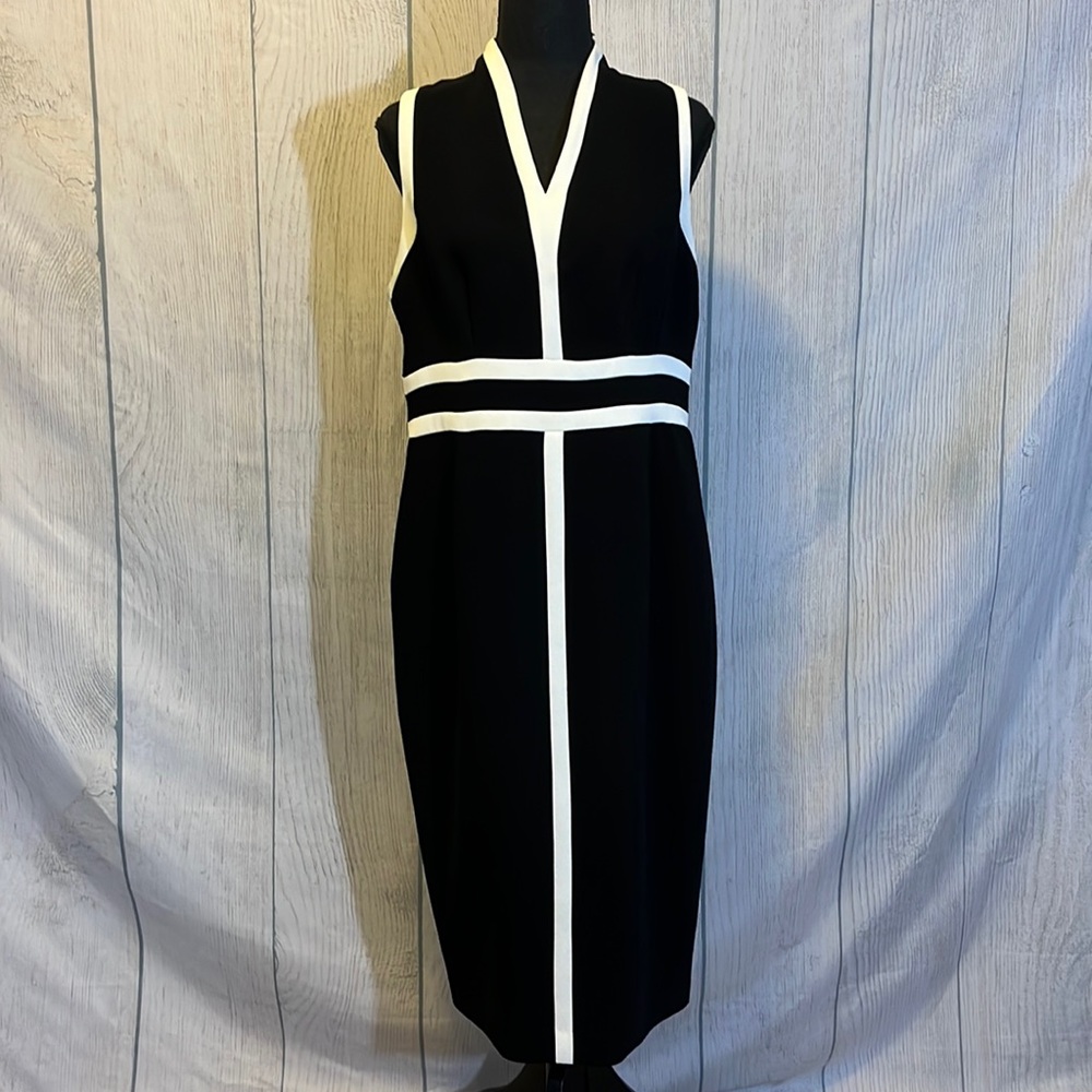 Iris Setlakwe Black and White Dress